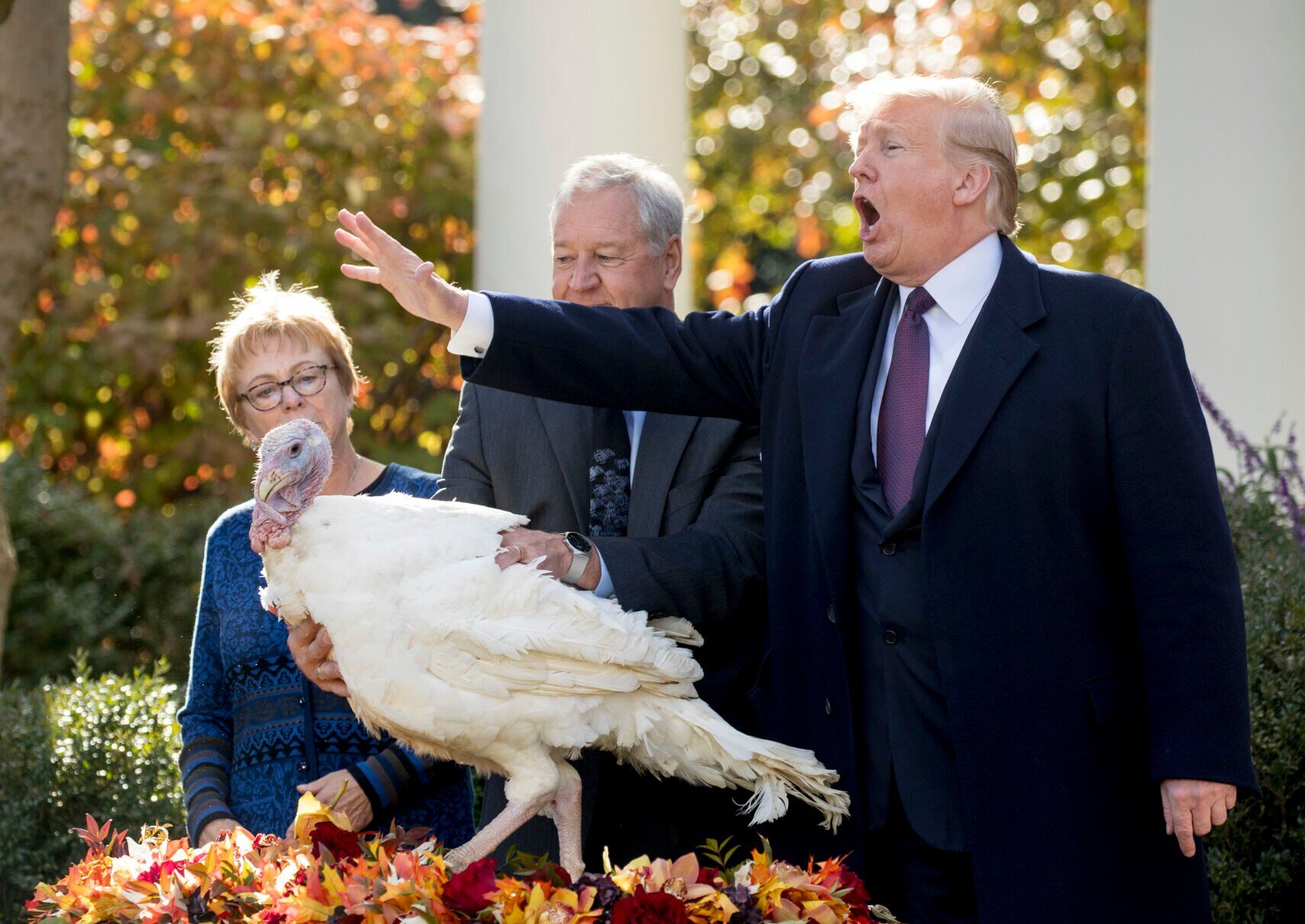 Trump turkey pardon, 2018